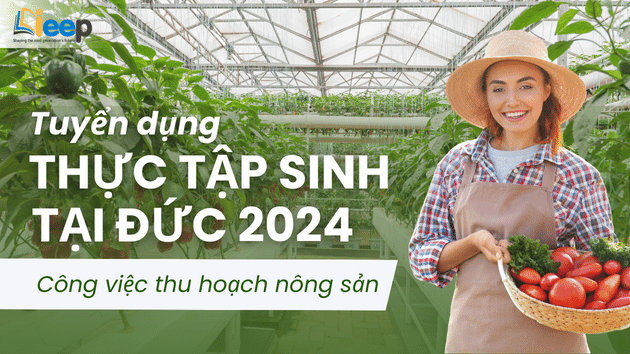 Thực tập nghề  (1).png